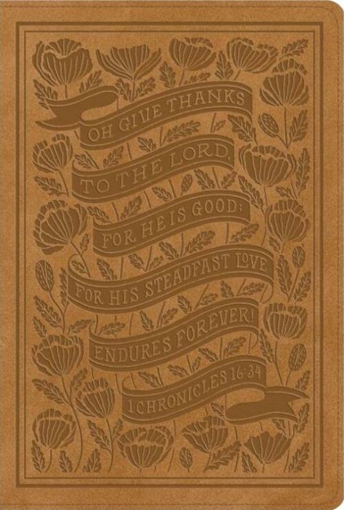 9798874902773 Womens Study Bible