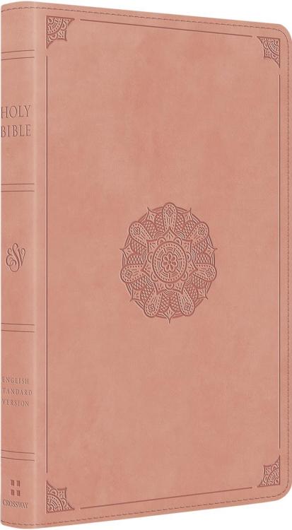 9798874904333 Thinline Bible
