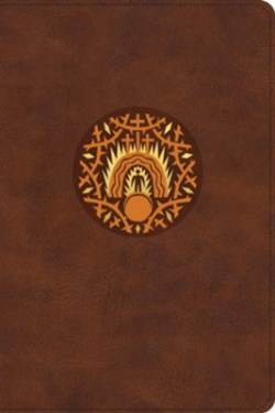 9798874902483 Biggest Story Holy Bible For Kids