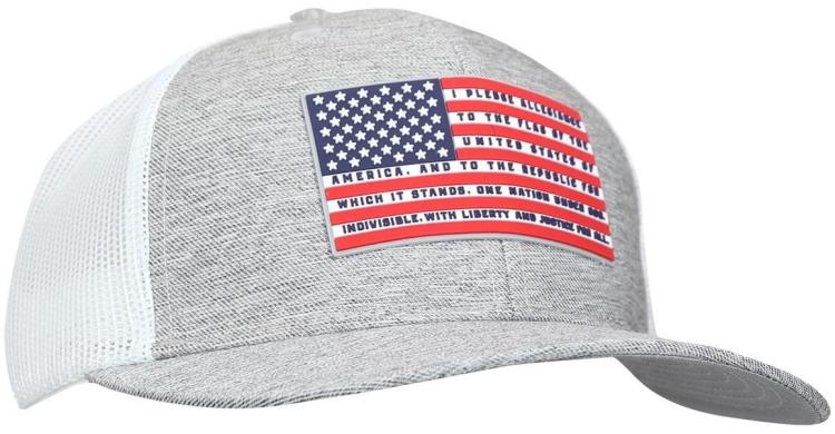 612978646519 Hold Fast Pledge Allegiance