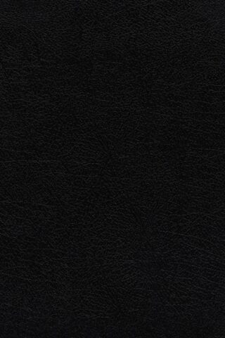 9780310088479 Grace And Truth Study Bible 1995 Text Comfort Print