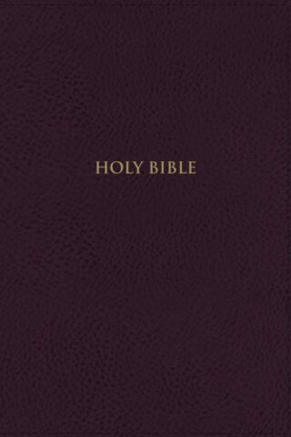 9780310459095 Thompson Chain Reference Bible Handy Size Comfort Print