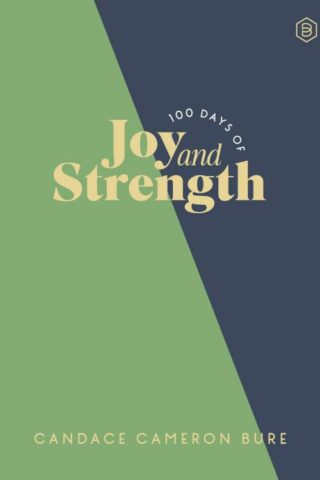 9780310466246 100 Days Of Joy And Strength