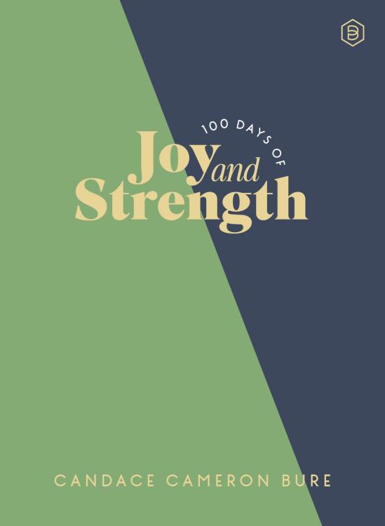 9780310466246 100 Days Of Joy And Strength