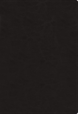 9780829772906 Ministers Bible Comfort Print