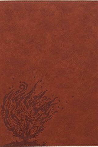 9781087714189 Experiencing God Bible