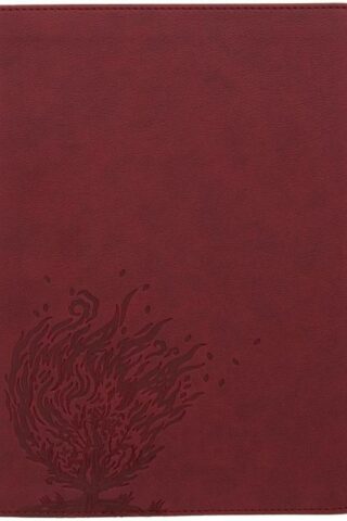 9781087765587 Experiencing God Bible