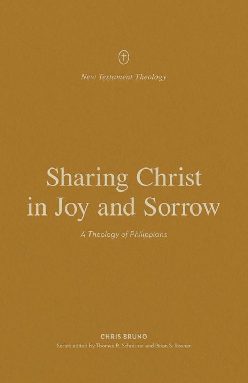 9781433575273 Sharing Christ In Joy And Sorrow