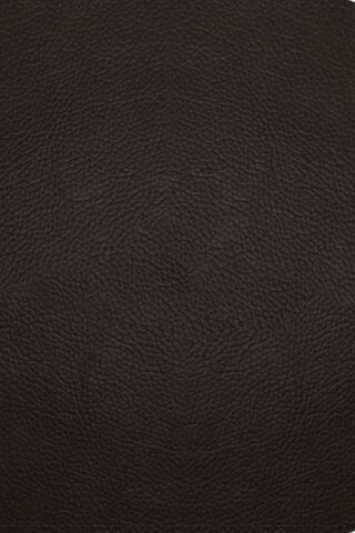 9781433575921 Study Bible