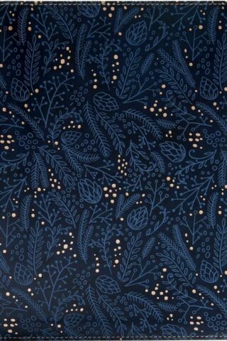 9781535971027 Study Bible