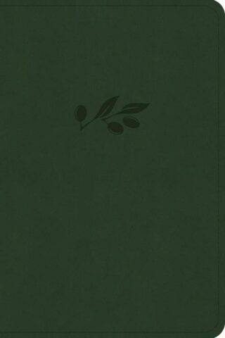 9798384533351 Large Print Compact Reference Bible Digital Study Edition