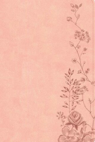 9798384533443 Single Column Compact Bible Digital Study Edition