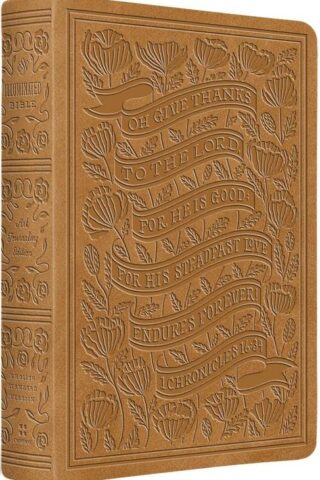 9798874902032 Illuminated Bible Art Journaling Edition