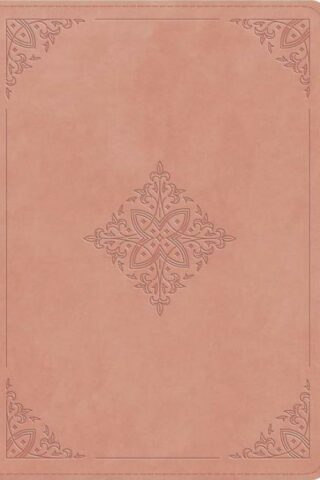 9798874902681 Study Bible