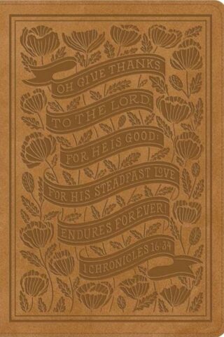 9798874902773 Womens Study Bible