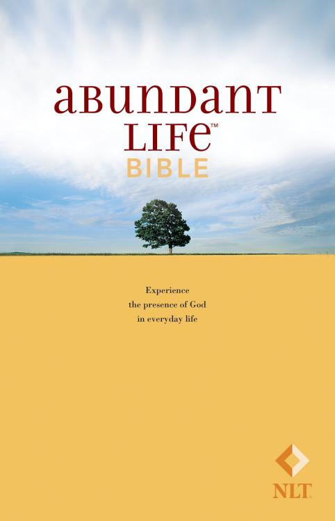 9780842384926 Abundant Life Bible