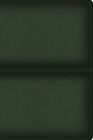 9781430094128 Mens Daily Bible