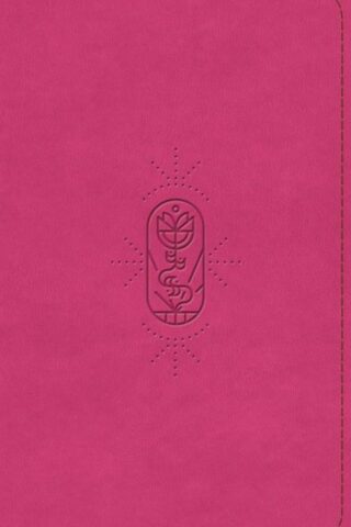 9798874902667 Holy Bible For Kids