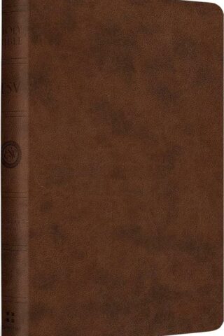 9798874902889 Value Compact Bible