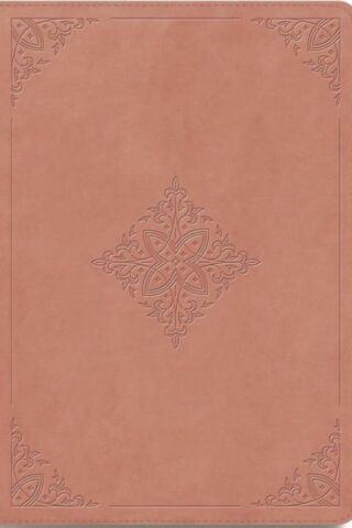 9798874906320 Giant Print Bible